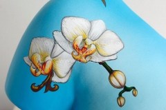 Orchideen weiß
